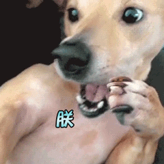 精选10组不高兴的安卓表情包7 精选10组不高兴的安卓表情包7