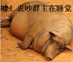 就是这种表情14 就是这种表情14