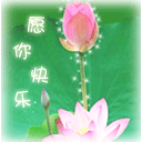 超可爱的小螃蟹的表情包8 超可爱的小螃蟹的表情包8