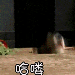 表达爱情的动态图片大全10 表达爱情的动态图片大全10