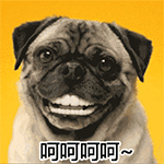 孤独的苹果树12