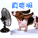 qq中的表情包14 qq中的表情包14