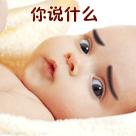 表情小白兔图片大全动态4 表情小白兔图片大全动态4