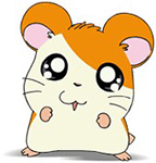 q友乐园滑稽表情裹被8