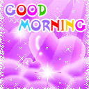 可爱小白表情包11 可爱小白表情包11