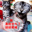 太君生气表情包12