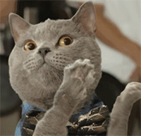 沙雕与表情包5 沙雕与表情包5