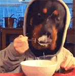 脑子里全是你是什么歌6