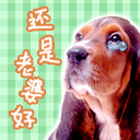 暴走青蛙表情包大全3