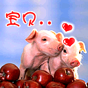 军训的表情大全1