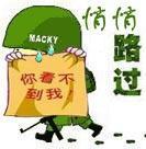 有表情的大树8 有表情的大树8