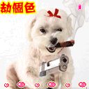 理直气壮叉腰可爱表情包7