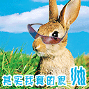 花多文字表情符号8 花多文字表情符号8