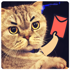 描述包蘑菇的微信表情1 描述包蘑菇的微信表情1