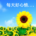 六个经典点评表情5 六个经典点评表情5