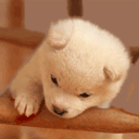 睡觉恐怖表情10