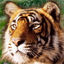 emoji表情组合新年祝福11 emoji表情组合新年祝福11