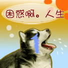 帮我放一下二哈的沙雕表情10 帮我放一下二哈的沙雕表情10