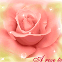 推荐8张屏幕的微表情3