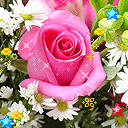 海贼王邪恶恐怖的表情14