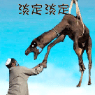 爱情真的不需要金钱表情图5 爱情真的不需要金钱表情图5