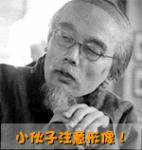 沙雕的表情包熊猫头2