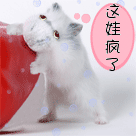 班级群里回复收到的重要性7 班级群里回复收到的重要性7