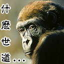 动漫表情包gif污3 动漫表情包gif污3