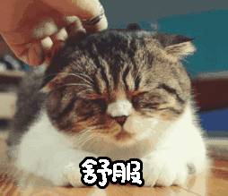 文字表情符号可爱8 文字表情符号可爱8