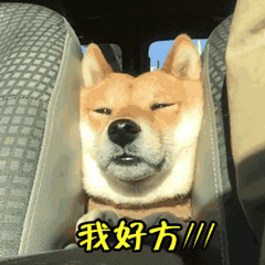 群主力荐文字表情1 群主力荐文字表情1