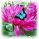 推荐12张乱了的经典表情3