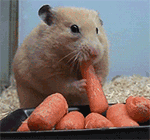 贴吧附近的滑稽表情5 贴吧附近的滑稽表情5