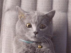 哭晕暴走表情包7 哭晕暴走表情包7