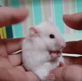 描述永远的经典表情10 描述永远的经典表情10