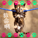 狗华解说文字表情5