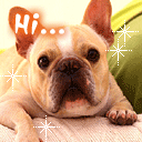 礼物表情包什么意思14 礼物表情包什么意思14