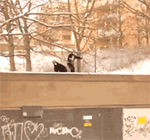 滑稽的小丑表情图片卡通11