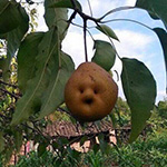 女生生气撅嘴可爱表情包1