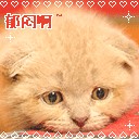 12组包演员的emm表情2 12组包演员的emm表情2