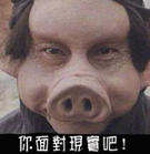 爱情是你吗表情包7