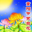 美女的表情很销魂4