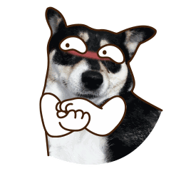 小黄脸恶搞流鼻血表情包8